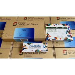 Truyền Trắng S8